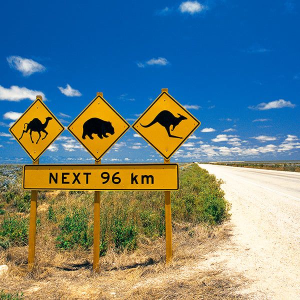 HÀ NỘI/ HỒ CHÍ MINH - MELBOURNE - SYDNEY