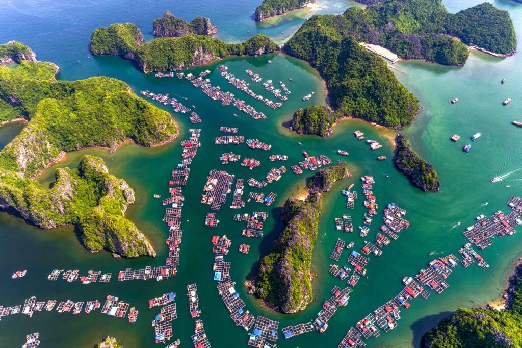 ĐẢO NGỌC CÁT BÀ - VỊNH LAN HẠ
