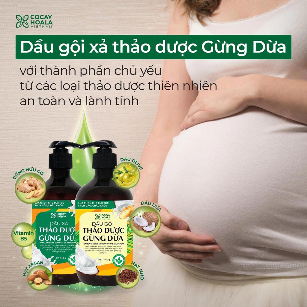 COMBO DẦU GỘI XẢ GỪNG DỪA HỮU CƠ CỎ CÂY HOA LÁ - NGĂN RỤNG TÓC, KÍCH THÍCH TÓC MỌC NHANH, TÓC ĐẸP CHUẨN MC