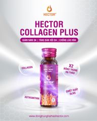 Nước đông trùng hạ thảo Hector Collagen Plus