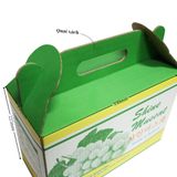  Thùng carton có quai xách 33x15x22cm QX01 (sl5000) 