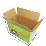  Thùng carton in OFFSET 33x20x22cm TO1 