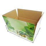  Thùng carton in OFFSET 39x27x11cm TO2 