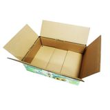  Thùng carton in OFFSET 39x27x11cm TO2 