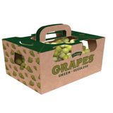  In offset hộp carton 15x15x20 cm 