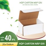  Hộp carton nắp gài trắng 25x15x5 cm 