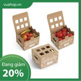  In offset hộp carton 15x15x20 cm 