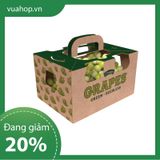  In offset hộp carton 12x12x12 cm 