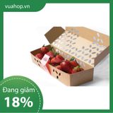  In offset hộp carton 15x15x20 cm 