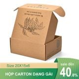  Hộp carton nắp gài 20x10x5 cm 