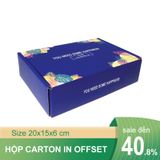 In offset hộp carton nắp gài  25x15x5 cm 