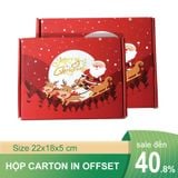  In offset hộp carton nắp gài  25x15x5 cm 