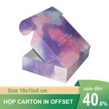  In offset hộp carton nắp gài 20x10x5 cm 