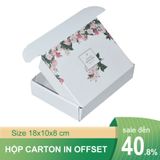  In offset hộp carton nắp gài 20x10x5 cm 