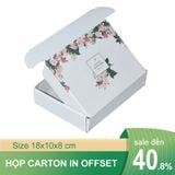  In offset hộp carton nắp gài 25x11x8cm 