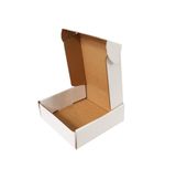  Hộp carton nắp gài trắng 30x20x10 cm 