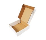  Hộp carton nắp gài trắng 30x20x10 cm 