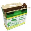 In thùng carton có quai xách 3 lớp 33x15x22cm ZF03 (sl5000) 