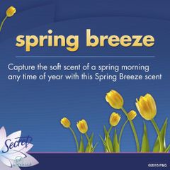 Sáp Khử Mùi Secret Invisible Solid pH Balanced #Spring Breeze 73gr