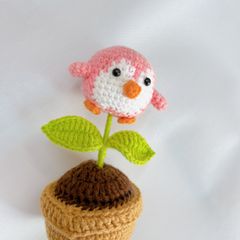 Chậu Len Chim Cánh Cụt