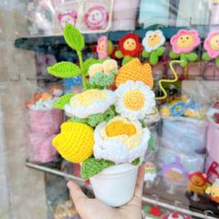 Chậu Hoa Vàng Trắng