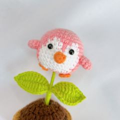 Chậu Len Chim Cánh Cụt