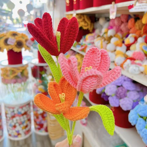 Cành Hoa Tulip Cánh