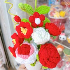 Chậu Hoa Đỏ Trắng