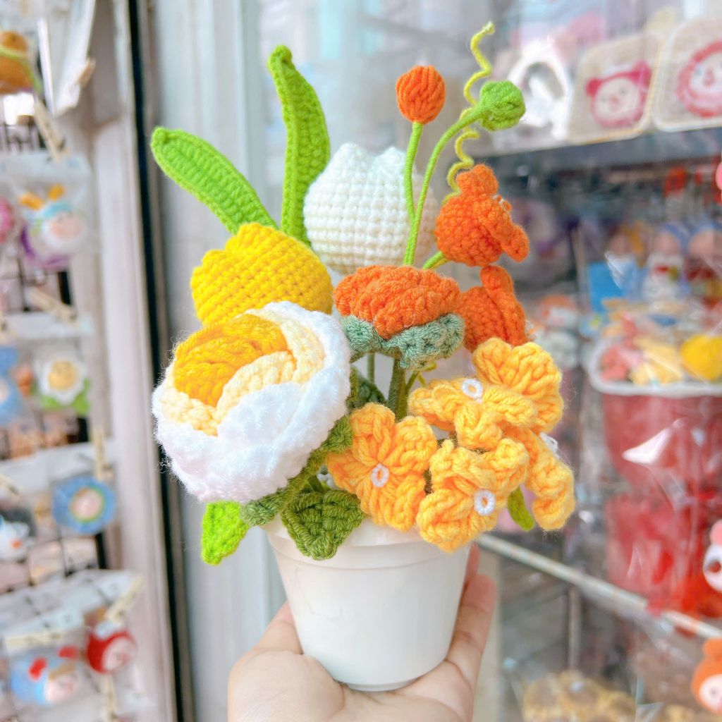 Chậu Hoa Vàng Cam