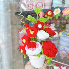 Chậu Hoa Đỏ Trắng