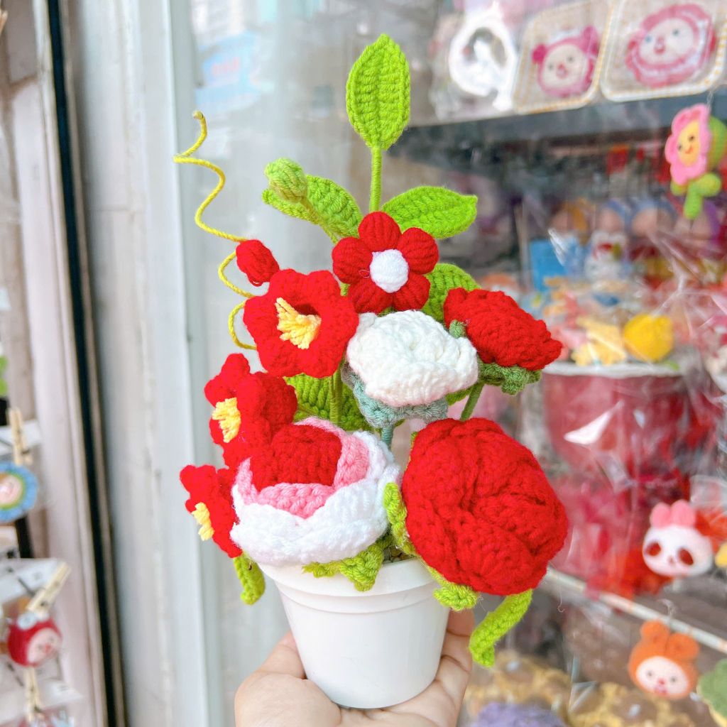 Chậu Hoa Đỏ Trắng