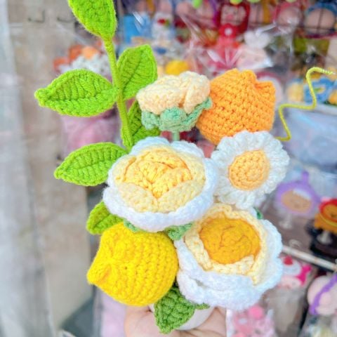 Chậu Hoa Vàng Trắng