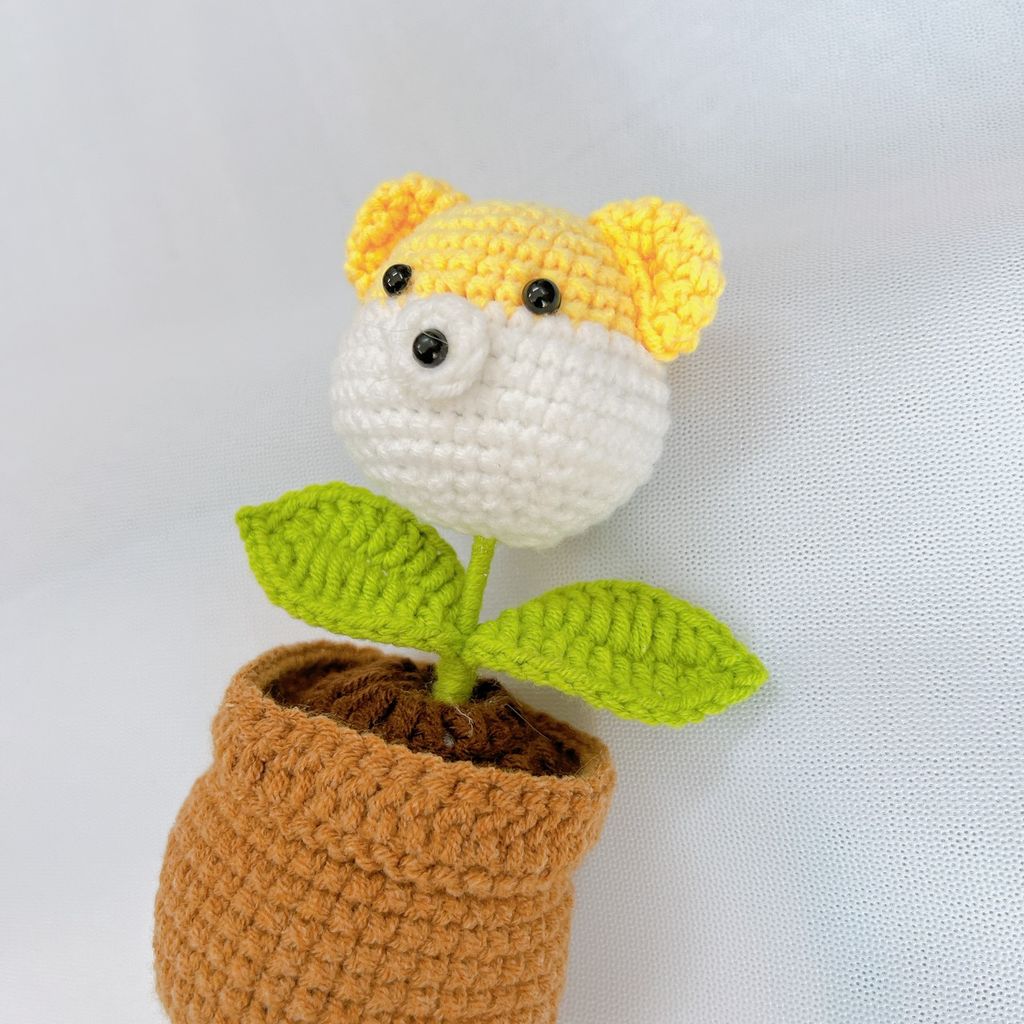 Chậu Len Gấu Vàng