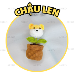 Chậu Len Gấu Vàng