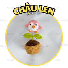 Chậu Len Chim Cánh Cụt