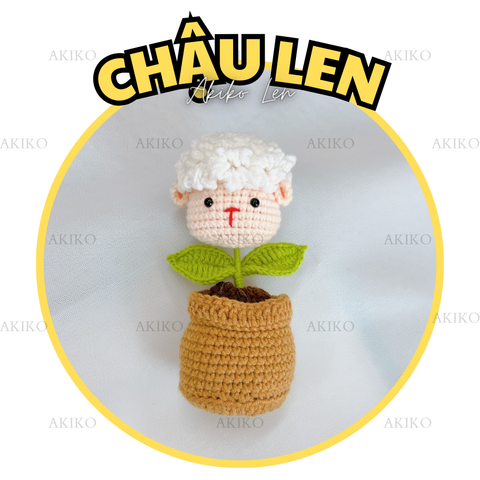 Chậu Len Cừu
