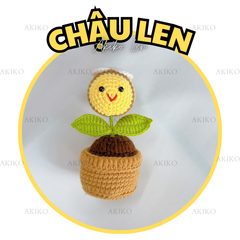 Chậu Len Ong