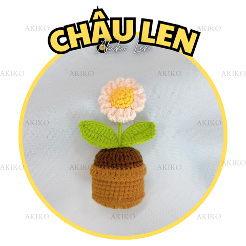Chậu Len Hoa Cúc