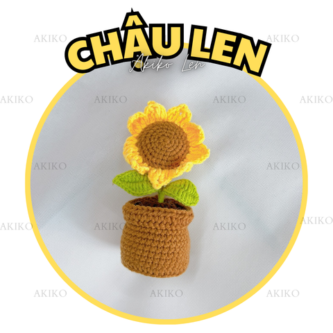 Chậu Len Hoa Hướng Dương