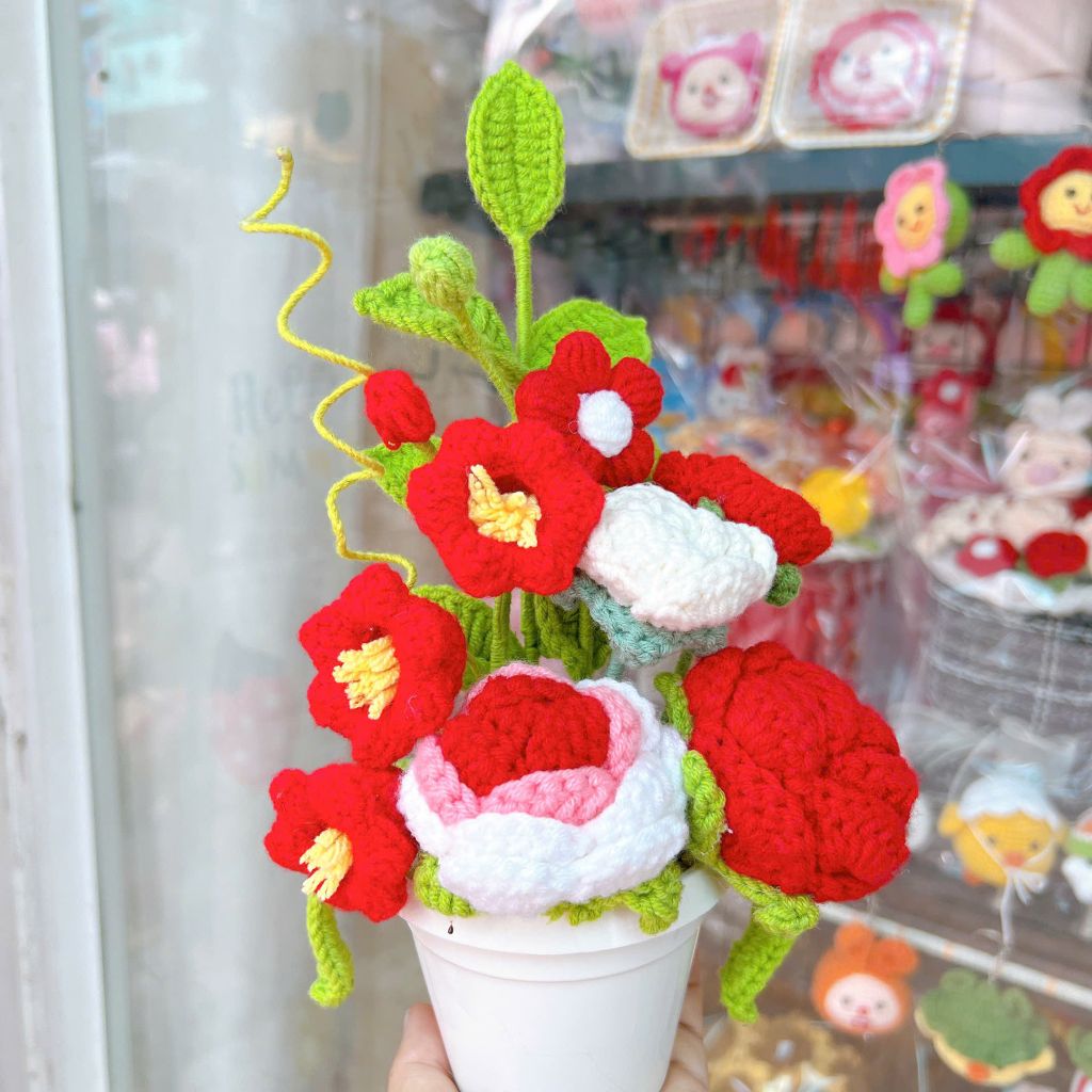 Chậu Hoa Đỏ Trắng