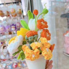 Chậu Hoa Vàng Cam