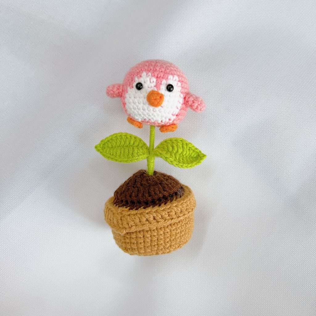 Chậu Len Chim Cánh Cụt