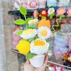 Chậu Hoa Vàng Trắng