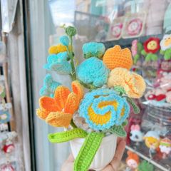 Chậu Hoa Xanh Vàng Cam