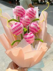 Hoa Bó Tulip 6 Hoa