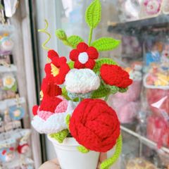 Chậu Hoa Đỏ Trắng