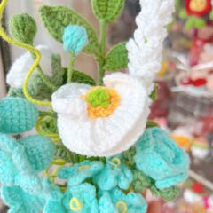 Chậu Hoa Xanh Trắng