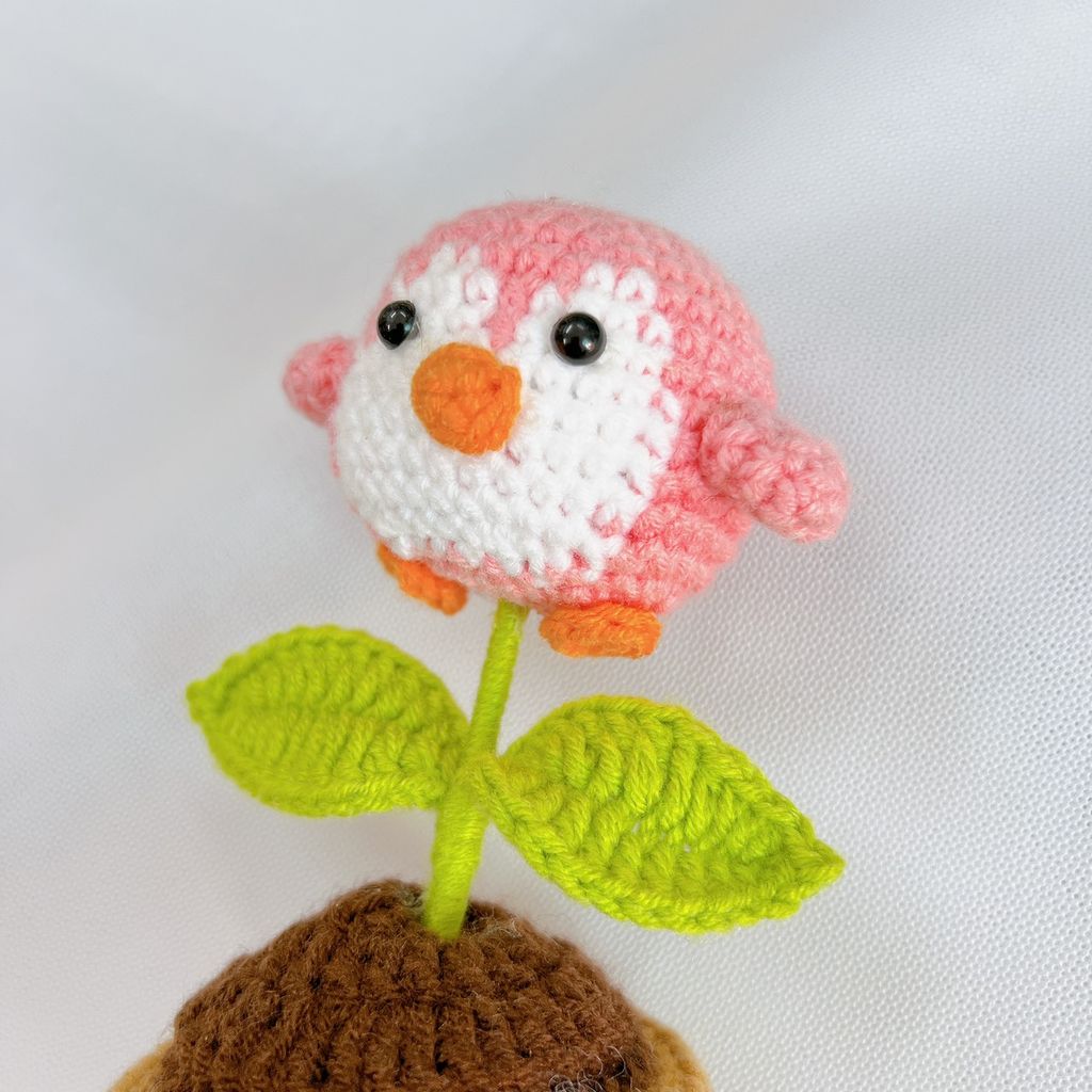 Chậu Len Chim Cánh Cụt