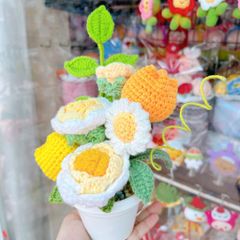 Chậu Hoa Vàng Trắng