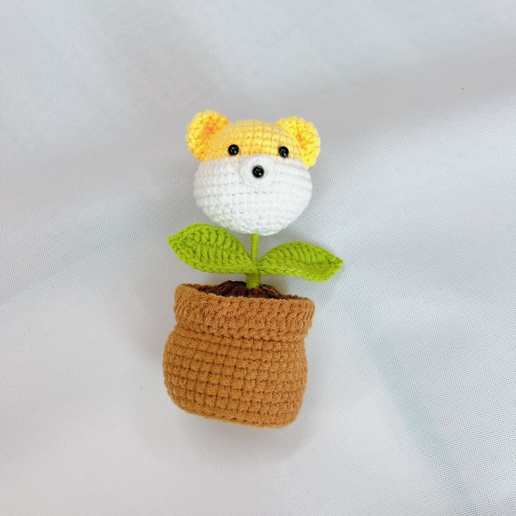 Chậu Len Gấu Vàng